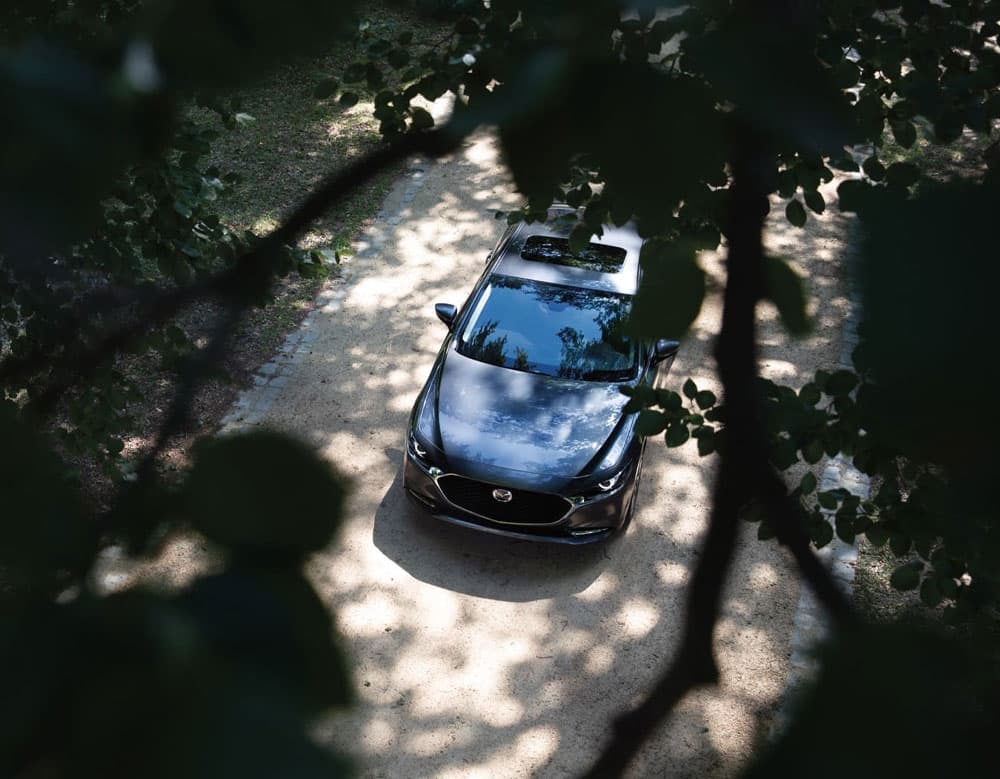 Mazda vehicle under trees